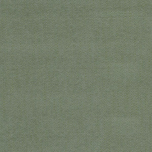 Kiev 1 Seedling by Stout Fabric