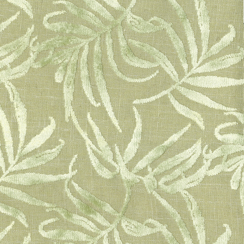 Stem 205 Aloe by ABBEYSHEA Fabric N/A 100% Polyester China 100,000 Double Rubs </p><p>Repeat: Horizontal: and Vertical: 57" (144 cm) - Fabric Carolina -