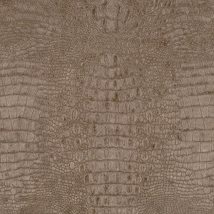 Kingdom 31J5901 by JF Fabric