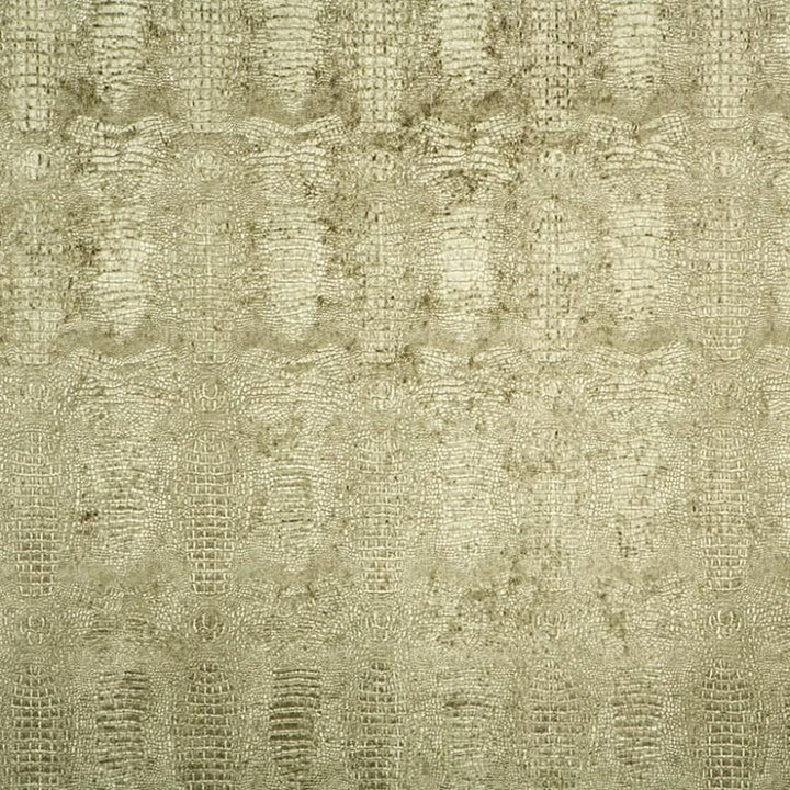 Kingdom 76J5901 by JF Fabric Empire Book 100% Polyester China 200000 Horizontal: 9 and Vertical: 12 56 - Fabric Carolina -