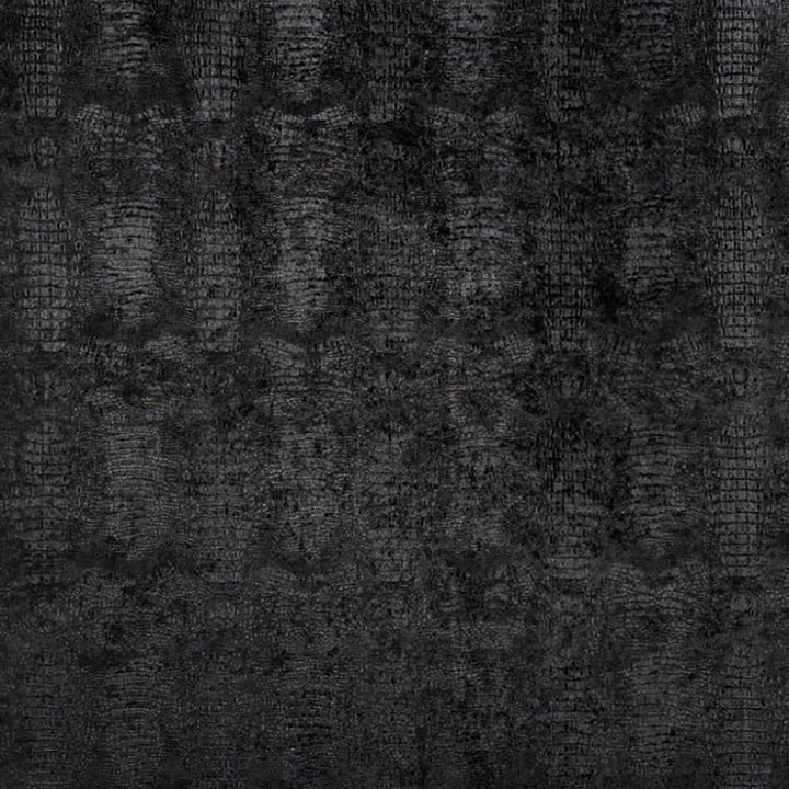 Kingdom 99J5901 by JF Fabric Empire Book 100% Polyester China 200000 Horizontal: 9 and Vertical: 12 56 - Fabric Carolina -