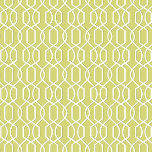 Knot 72J7751 by JF Blendworth Fabric