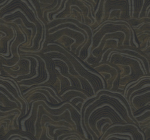 Geodes Black Wallpaper by Ronald Redding