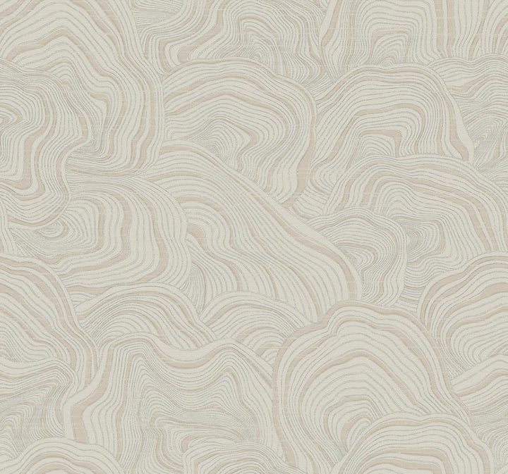 Geodes Taupe Wallpaper by Ronald Redding Classics Covers about 60.8 square feet 27-in by 27-ft long roll Unpasted 25.25 - Fabric Carolina -