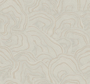 Geodes Taupe Wallpaper by Ronald Redding