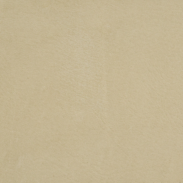 L-Arizona Putty by Kravet Design Fabric LEATHER - 100% Italy Horizontal: and Vertical: - Fabric Carolina -