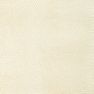 Kravet Design L-Atacama-Coconut L-ATACAMA.COCONUT.0 by Kravet Design Fabric