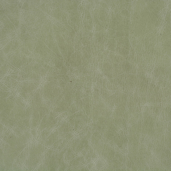 L-Beaumont-Eucalyptus by Kravet Basics Fabric - LEATHER - 100% United States MEDIUM Horizontal: - and Vertical: - - - Fabric Carolina -