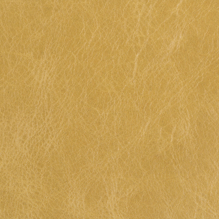 L-Beaumont-Sap by Kravet Basics Fabric - LEATHER - 100% United States MEDIUM Horizontal: - and Vertical: - - - Fabric Carolina -
