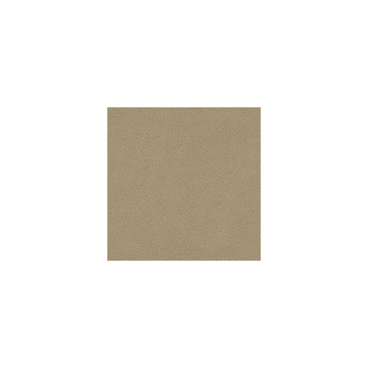L-Bexar-Stone by Kravet Couture Fabric - LEATHER - 100% Italy LIGHT Horizontal: 0 and Vertical: 0 - - Fabric Carolina -