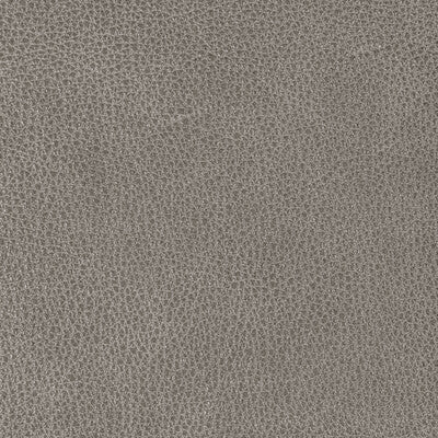 Kravet Design Upholstery L-BISON.ARMOR.0 Upholstery LEATHER - 100% Brazil </p><p>Repeat: H: , V: 27.5 21 - My Fabric Connection -