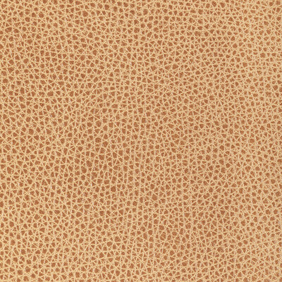 Kravet Design Upholstery L-BISON.BISCOTTI.0 Upholstery LEATHER - 100% Brazil </p><p>Repeat: H: , V: 27.5 21 - My Fabric Connection -