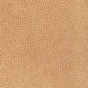 Kravet Design L-Bison-Biscotti L-BISON.BISCOTTI.0 by Kravet Design Fabric