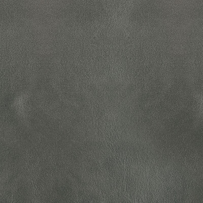 Kravet Design Upholstery L-BOTA.COIN.0 Upholstery LEATHER - 100% Italy </p><p>Repeat: H: , V: 27.5 21 - My Fabric Connection -