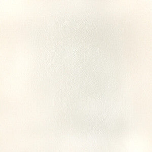 Kravet Design L-Bota-Ivory L-BOTA.IVORY.0 by Kravet Design Fabric