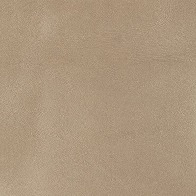 Kravet Couture Upholstery L-BROCKWAY.PUTTY.0 Upholstery LEATHER - 100% Argentina </p><p>Repeat: H: , V: 27.5 21 - My Fabric Connection -