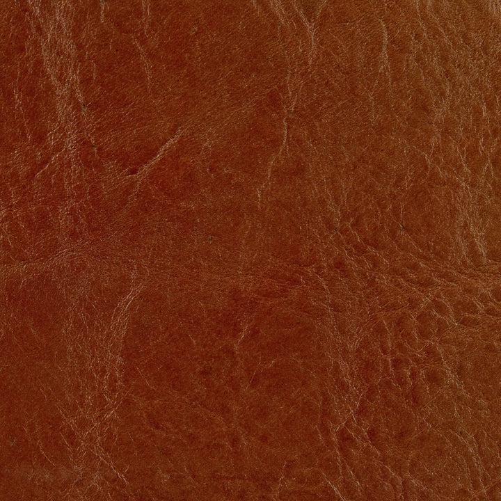 L-Brockway-Sierra by Kravet Couture Fabric LEATHER - 100% Argentina LIGHT Horizontal: 0 and Vertical: 0 - Fabric Carolina -