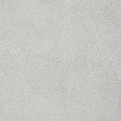 Kravet Design Upholstery L-BRONCO.NEEDLE.0 Upholstery LEATHER - 100% Italy </p><p>Repeat: H: , V: 27.5 21 - My Fabric Connection -
