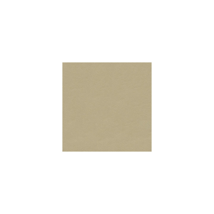 L-Cantle-Vellum by Kravet Couture Fabric BARBARA BARRY COLLECTION LEATHER - 100% Italy LIGHT Horizontal: 0 and Vertical: 0 - - Fabric Carolina -