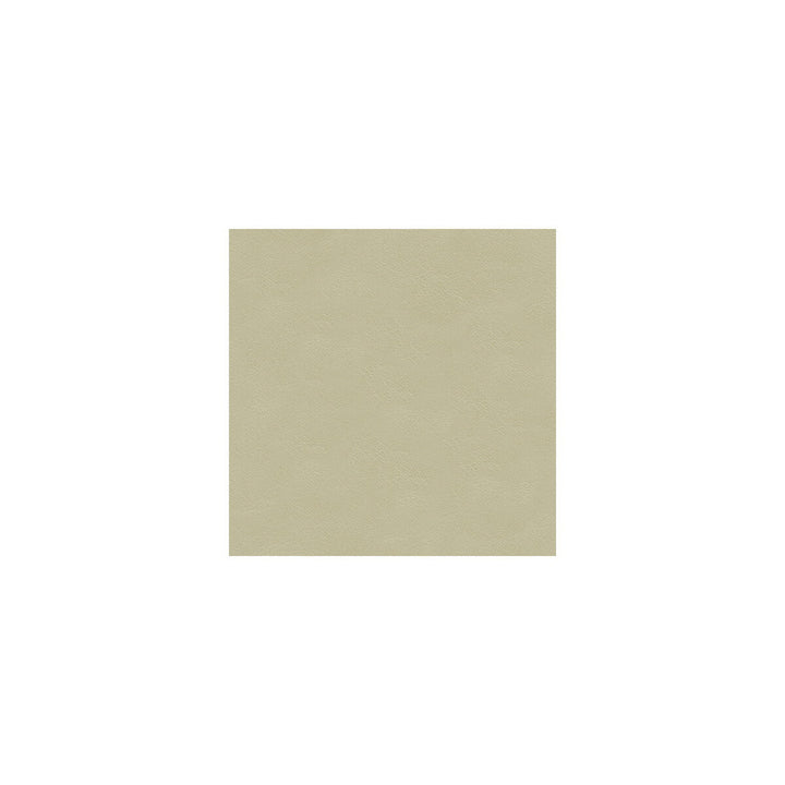 L-Cavesson-Alabaster by Kravet Couture Fabric BARBARA BARRY COLLECTION LEATHER - 100% Spain LIGHT Horizontal: 0 and Vertical: 0 - - Fabric Carolina -
