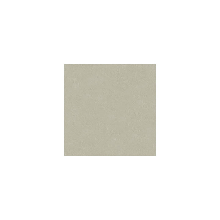 L-Cavesson-Pearl by Kravet Couture Fabric BARBARA BARRY COLLECTION LEATHER - 100% Spain LIGHT Horizontal: 0 and Vertical: 0 - Fabric Carolina -