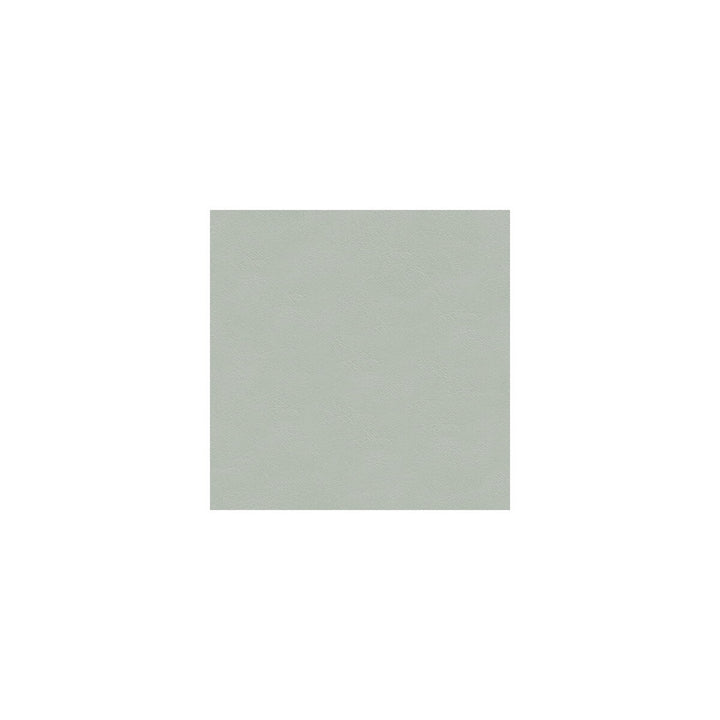 Jury'S Leather Spa by Kravet Couture Fabric SPECIALS BOOK LEATHER - 100% Spain - Horizontal: - and Vertical: - - - Fabric Carolina -