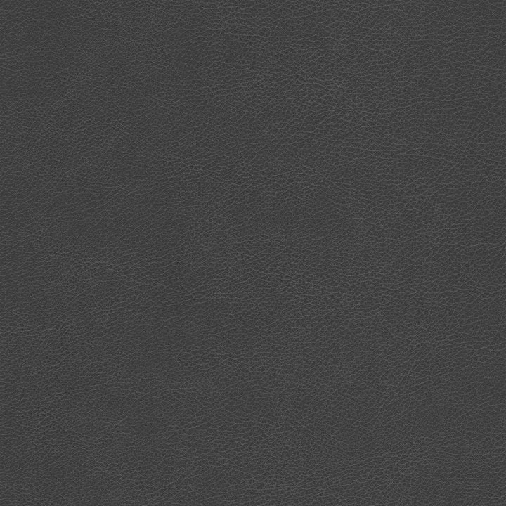Kravet Design Upholstery L-CIMARRON.CHARCOAL.0 Upholstery LEATHER - 100% Italy </p><p>Repeat: H: , V: 27.5 21 - My Fabric Connection -