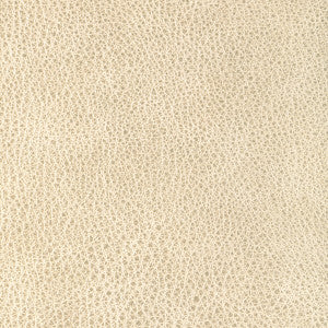 L-Cimarron-Cloud L-CIMARRON.CLOUD.0 by Kravet Fabric
