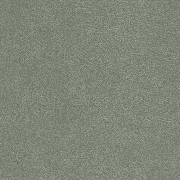 L-Cimarron-Elephant by Kravet Design Fabric BLEACH CLEANABLE LEATHER LEATHER - 100% Italy HEAVY Horizontal: and Vertical: - Fabric Carolina -