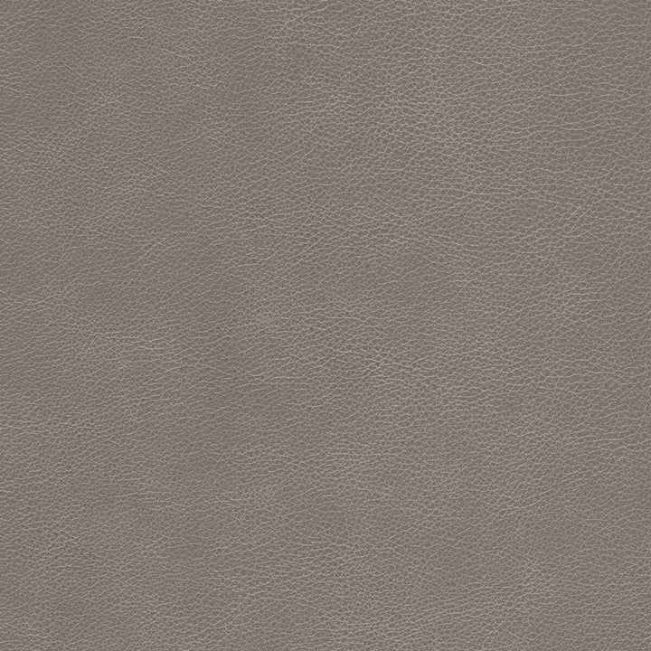 L-Cimarron-Fawn by Kravet Design Fabric BLEACH CLEANABLE LEATHER LEATHER - 100% Italy HEAVY Horizontal: and Vertical: - Fabric Carolina -