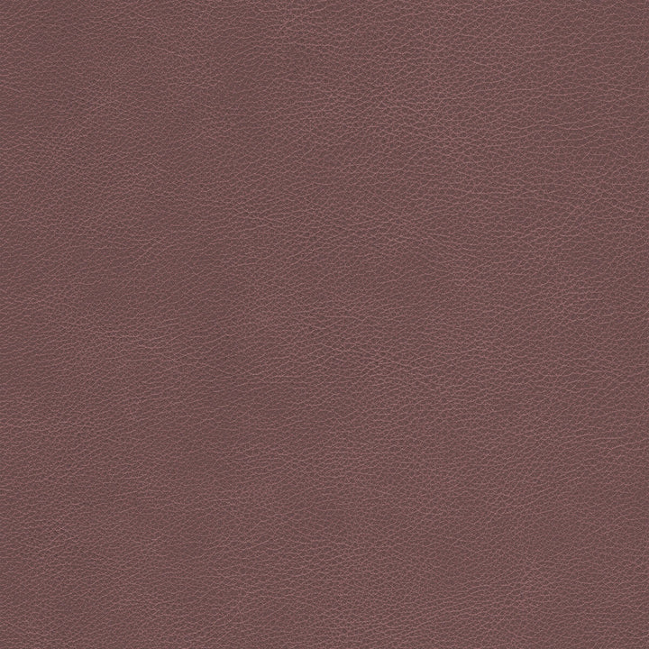 Kravet Design Upholstery L-CIMARRON.WHISKEY.0 Upholstery LEATHER - 100% Italy </p><p>Repeat: H: , V: 27.5 21 - My Fabric Connection -