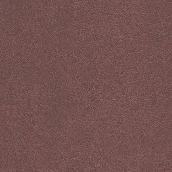 L-Cimarron-Whiskey by Kravet Design Fabric BLEACH CLEANABLE LEATHER LEATHER - 100% Italy HEAVY Horizontal: and Vertical: - Fabric Carolina -