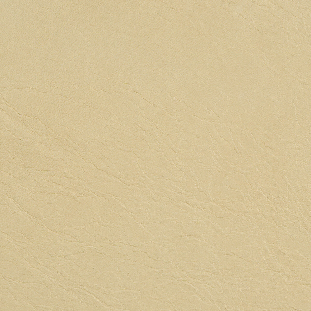 L-Coachman-Palomino by Kravet Couture Fabric BARBARA BARRY COLLECTION LEATHER - 100% Italy LIGHT Horizontal: 0 and Vertical: 0 - Fabric Carolina -
