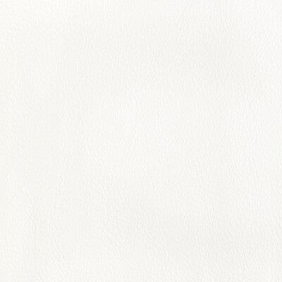 Kravet Design Upholstery L-CORRALS.SALT.0 Upholstery LEATHER - 100% United States </p><p>Repeat: H: , V: 27.5 21 - My Fabric Connection -