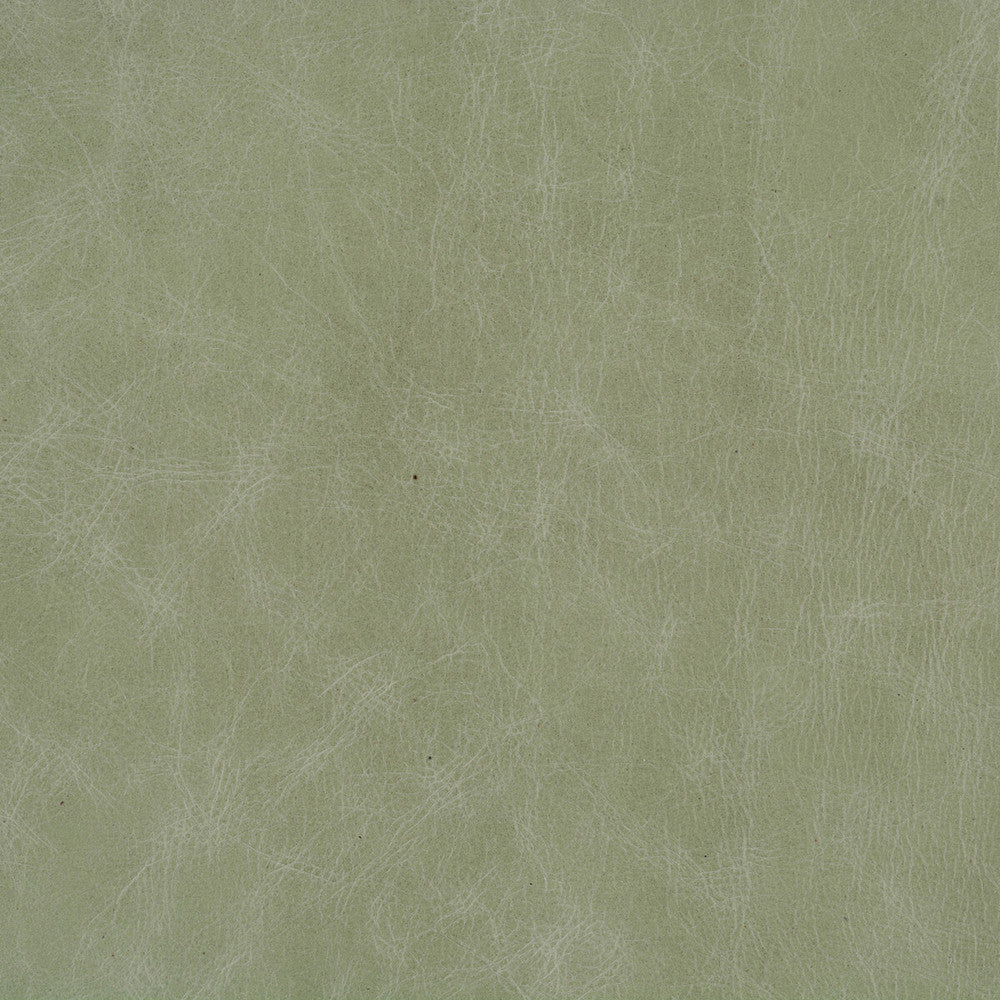 L-Cuero-Eucalyptus by Kravet Design Fabric MUSEUM OF NEW MEXICO LEATHER - 100% United States MEDIUM Horizontal: and Vertical: - Fabric Carolina -