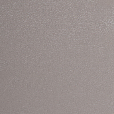 Kravet Design Upholstery L-DELUXE.SILVER.0 Upholstery LEATHER - 100% Brazil </p><p>Repeat: H: , V: 27.5 21 - My Fabric Connection -