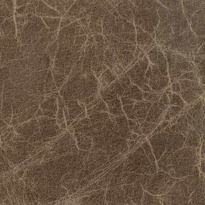 Kravet Design Upholstery L-DE BACA.STONE.0 Upholstery LEATHER - 100% Italy </p><p>Repeat: H: , V: 27.5 21 - My Fabric Connection -