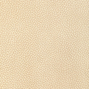 Kravet Design L-Dixie-Champagne L-DIXIE.CHAMPAGNE.0 by Kravet Design Fabric