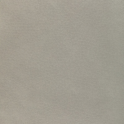 Kravet Design Upholstery L-EL VADO.STONE.0 Upholstery LEATHER - 100% Italy </p><p>Repeat: H: , V: 27.5 21 - My Fabric Connection -
