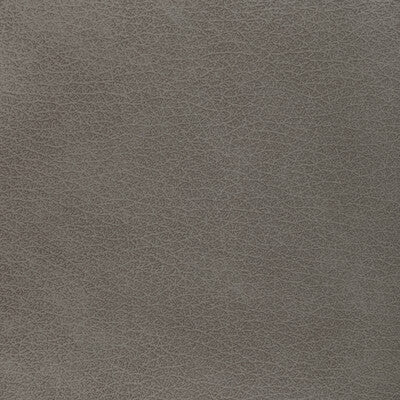 Kravet Design Upholstery L-EL VADO.TAUPE.0 Upholstery LEATHER - 100% Italy </p><p>Repeat: H: , V: 27.5 21 - My Fabric Connection -