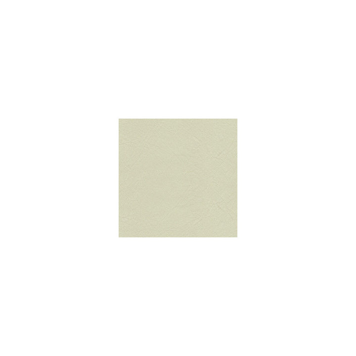 L-Equine Stone by Kravet Design Designer Fabric CALVIN KLEIN COLLECTION LEATHER - 100% Italy MEDIUM Horizontal: 0 and Vertical: 0 - Swanky Fabrics -