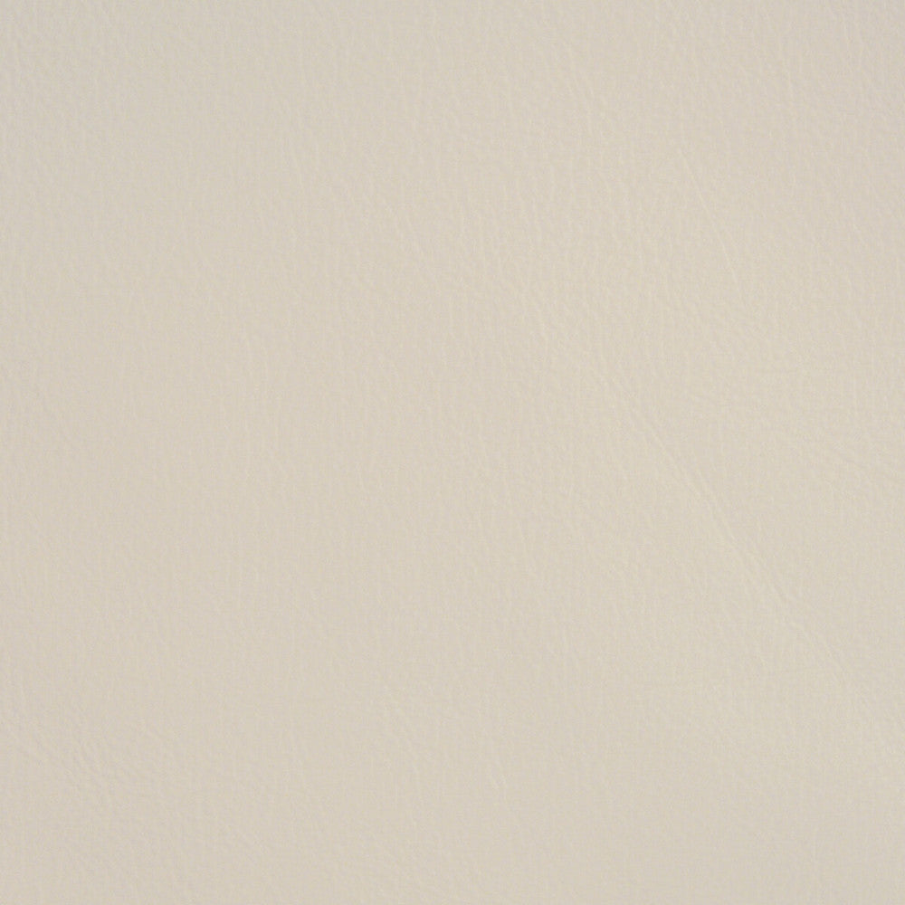 L-Firenze-Moonbeam by Kravet Design Fabric - LEATHER - 100% United States LIGHT Horizontal: 0 and Vertical: 0 - - Fabric Carolina -