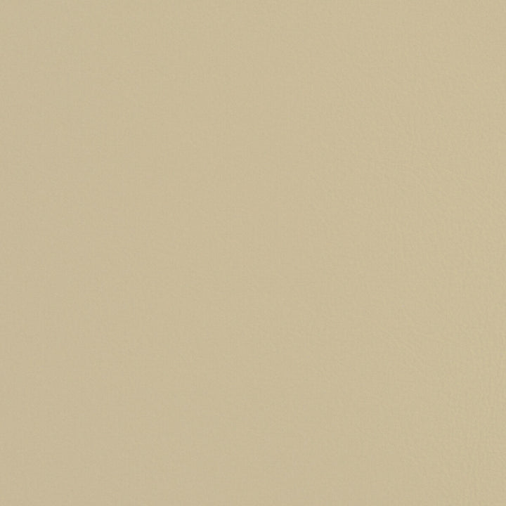 L-Firenze-Porcelain by Kravet Design Fabric - LEATHER - 100% United States LIGHT Horizontal: 0 and Vertical: 0 - - Fabric Carolina -