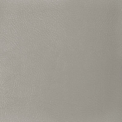 Kravet Design Upholstery L-GLISTEN.NICKEL.0 Upholstery LEATHER - 100% United States </p><p>Repeat: H: , V: 27.5 21 - My Fabric Connection -