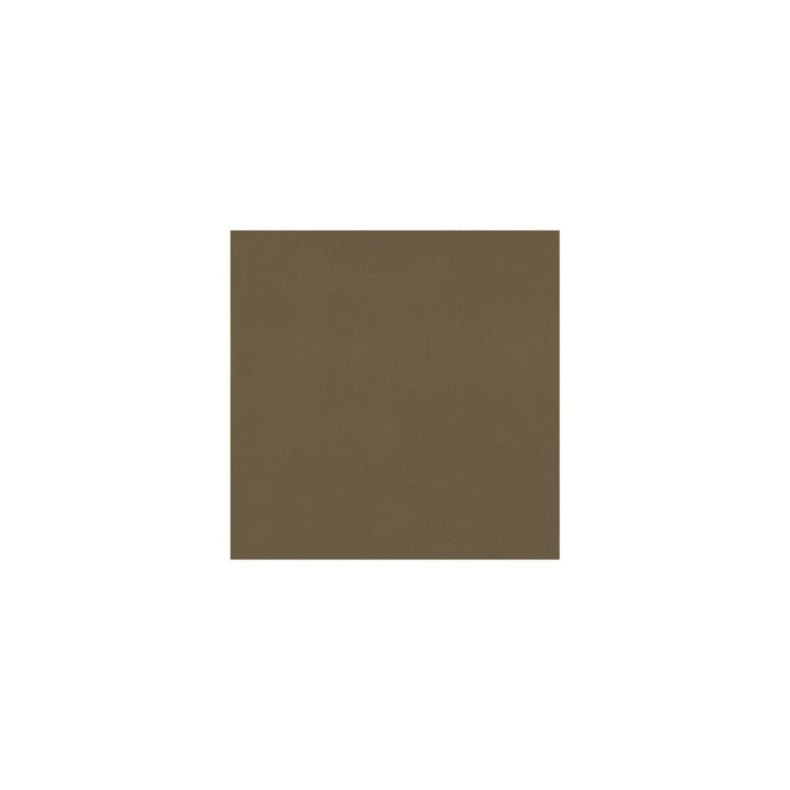 L-Hasbrook-Grass by Kravet Design Fabric LEATHER - 100% Italy LIGHT Horizontal: 0 and Vertical: 0 - Fabric Carolina -