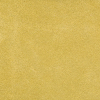 L-Haute-Citron by Kravet Couture Fabric - LEATHER - 100% Italy - Horizontal: - and Vertical: - - - Fabric Carolina -
