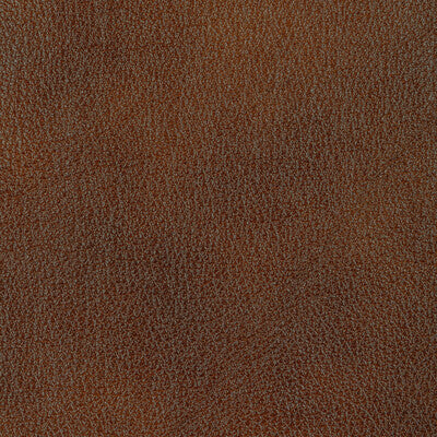Kravet Design Upholstery L-HOLT.SYRUP.0 Upholstery LEATHER - 100% Brazil </p><p>Repeat: H: , V: 27.5 21 - My Fabric Connection -