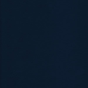 L-Howdy-Admiral by Kravet Design Fabric