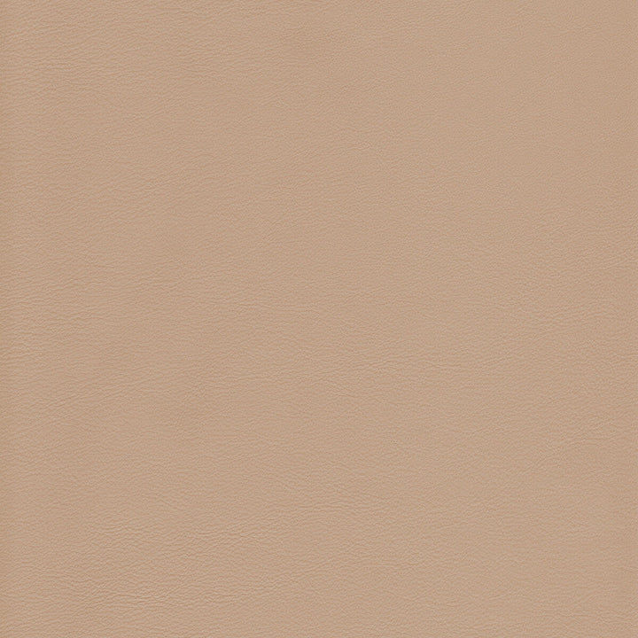 Kravet Design Upholstery L-HOWDY.BIRCH.0 Upholstery LEATHER - 100% Italy </p><p>Repeat: H: , V: 27.5 21 - My Fabric Connection -