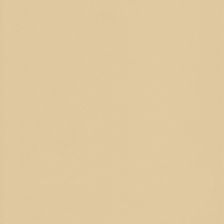 L-Howdy-Butter by Kravet Design Fabric BLEACH CLEANABLE LEATHER LEATHER - 100% Italy HEAVY Horizontal: 0 and Vertical: 0 - Fabric Carolina -